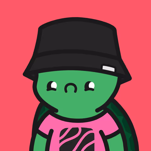 Turtle Town #9966