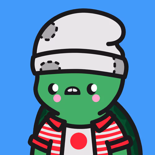 Turtle Town #3474