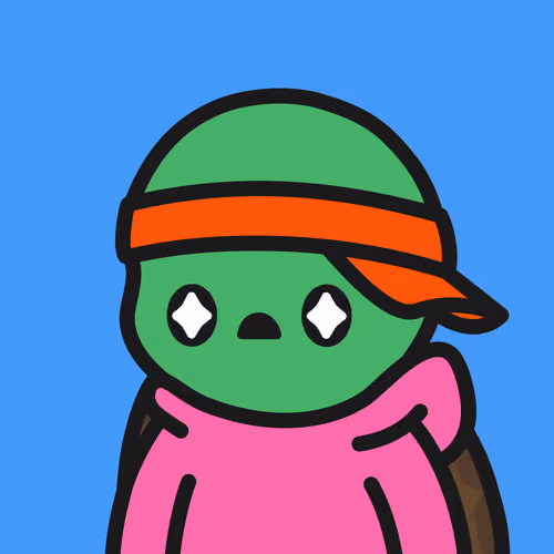 Turtle Town #5519