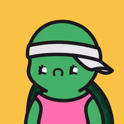 Turtle Town #5848