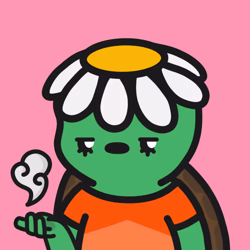 Turtle Town #7200