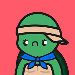 Turtle Town #6539