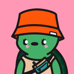 Turtle Town #6512