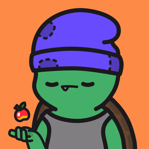 Turtle Town #3489