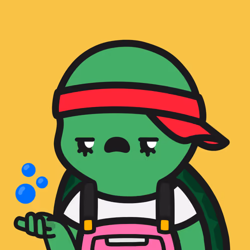 Turtle Town #1110