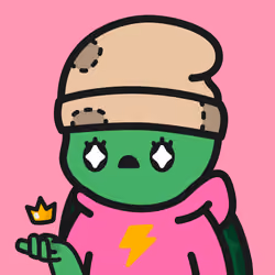 Turtle Town #3246