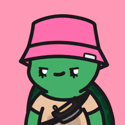 Turtle Town #452