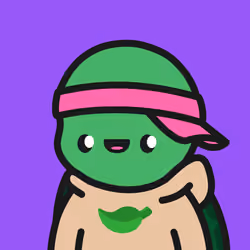 Turtle Town #8569