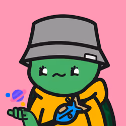 Turtle Town #6168