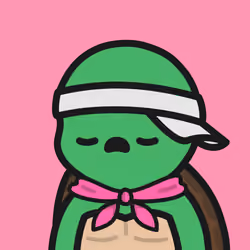Turtle Town #7021