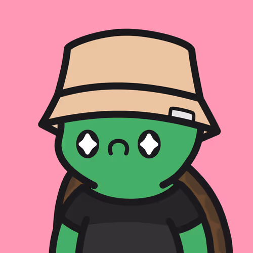 Turtle Town #6492