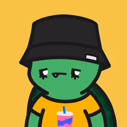 Turtle Town #554