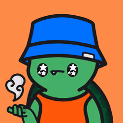 Turtle Town #3147
