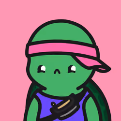 Turtle Town #9738