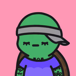 Turtle Town #2230
