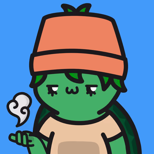Turtle Town #1111