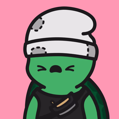 Turtle Town #6685