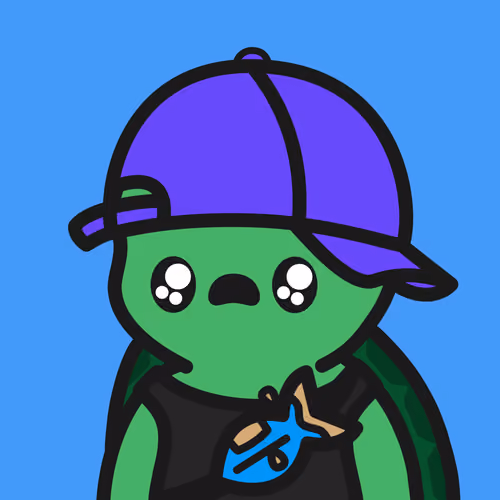 Turtle Town #2148