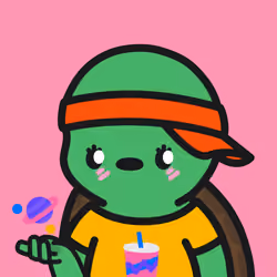 Turtle Town #9434