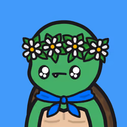 Turtle Town #7155