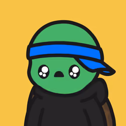Turtle Town #3965