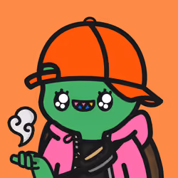 Turtle Town #6668