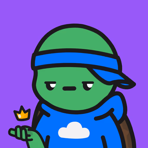 Turtle Town #577