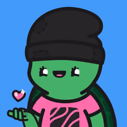 Turtle Town #6998