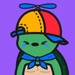 Turtle Town #6498