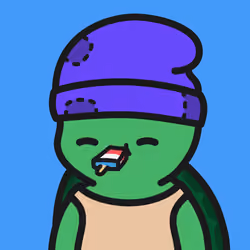 Turtle Town #2559