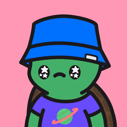 Turtle Town #8493