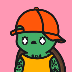 Turtle Town #6713