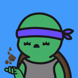 Turtle Town #2432