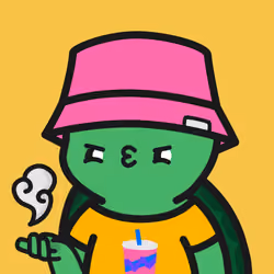 Turtle Town #6614