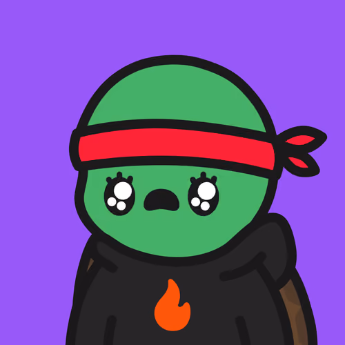 Turtle Town #7872