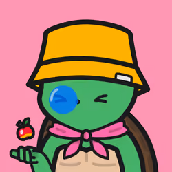 Turtle Town #1397
