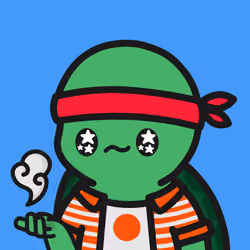 Turtle Town #9553