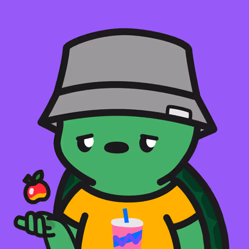 Turtle Town #5532