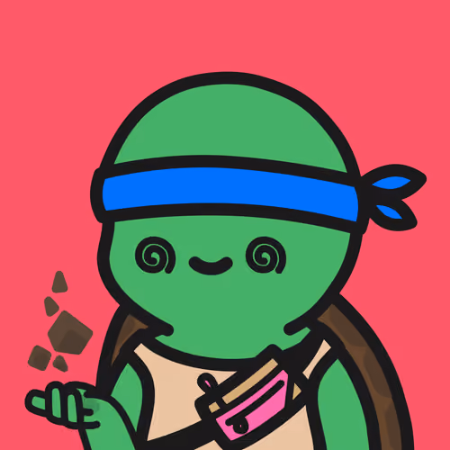 Turtle Town #8916