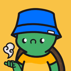 Turtle Town #8903
