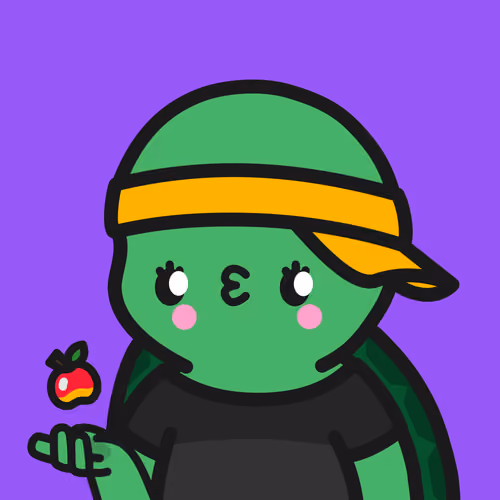 Turtle Town #8565