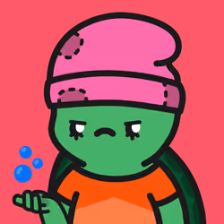 Turtle Town #4148