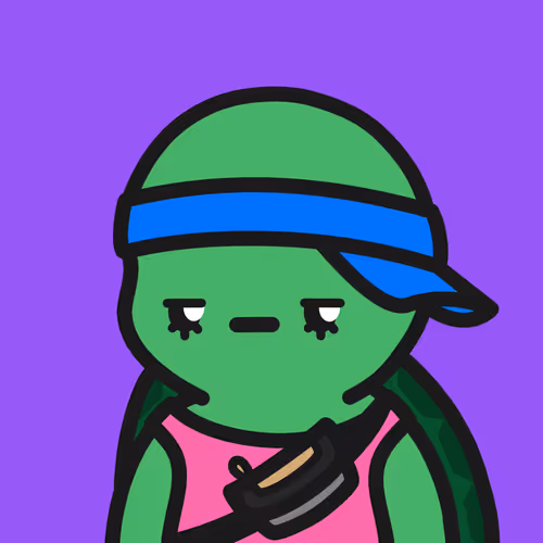 Turtle Town #5430
