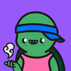 Turtle Town #6943