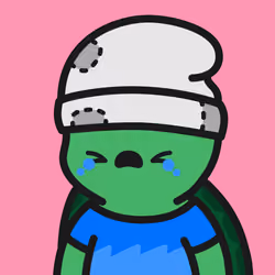 Turtle Town #4654