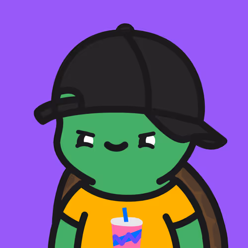 Turtle Town #4734