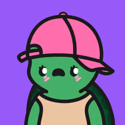 Turtle Town #502
