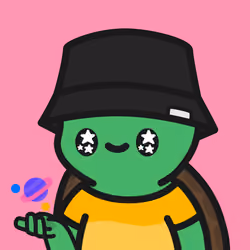 Turtle Town #5363