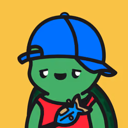 Turtle Town #5010