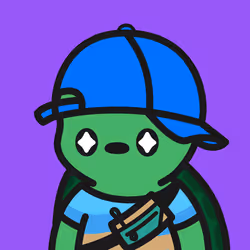 Turtle Town #8608